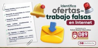 ¡Cuidado! Alertan sobre ofertas de trabajo falsas en Internet