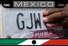 No está prohibido el portaplacas en Puebla: Silvia Tanús