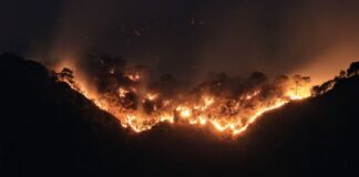 Se intensifica incendio en Tepoztlán por fuertes vientos