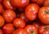 EU impondrá aranceles del 20.91% al tomate mexicano