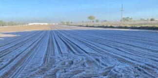 Frente frío 37 causa fuertes heladas en Puebla