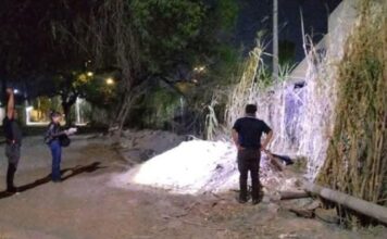 Denuncian nuevos casos de envenenamiento masivo de perros en Tehuacán