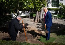 Trump tala árbol de 200 años y planta el “MAGAnolia”