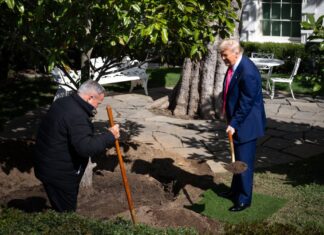 Trump tala árbol de 200 años y planta el “MAGAnolia”