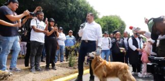 Puebla tendrá Casa de Seres Sintientes para protección animal