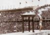 Berlín buscará albergar los Juegos Olímpicos en el centenario de 1936