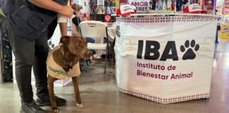 Bienestar Animal promueve cultura de cuidado en la Feria de Puebla 2025