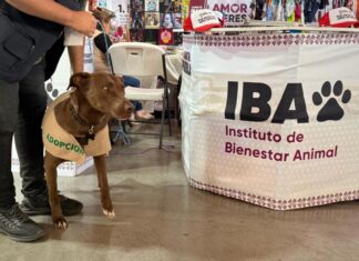 Bienestar Animal promueve cultura de cuidado en la Feria de Puebla 2025