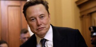 Elon Musk anuncia su salida del gobierno de Trump