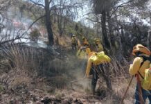 En cinco meses han sofocado 301 incendios forestales en Puebla