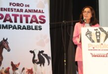 Ayuntamiento de Puebla realiza foro para promover bienestar animal