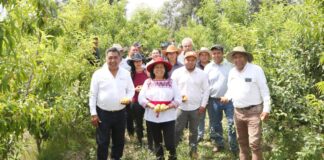 Presentan modelo de producción intensiva de frutas en Puebla