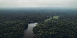 Tribu amazónica demanda al NYT por exponer supuesta adicción a pornografía