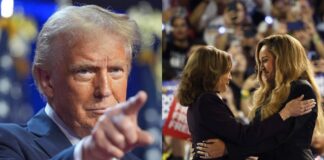 Trump investigará a artistas que apoyaron a Kamala Harris