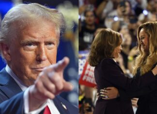 Trump investigará a artistas que apoyaron a Kamala Harris
