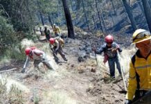 Gobierno estatal ha atendido 637 incendios en lo que va del 2025