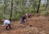 Zacatlán imparte talleres previos al Proyecto de Reforestación Estratégica Integral