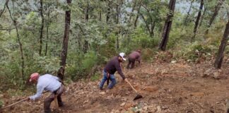 Zacatlán imparte talleres previos al Proyecto de Reforestación Estratégica Integral