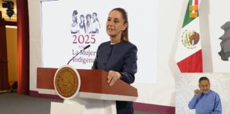 Farmacias del Bienestar iniciarán a operar en dos meses: Sheinbaum