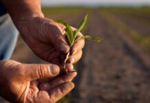 Trabajarán campo poblano con mil 500 máquinas para combatir pobreza alimentaria
