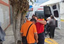 Abejas atacan a más de 20 personas en Atlixco