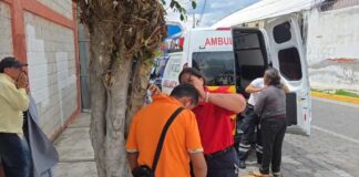 Abejas atacan a más de 20 personas en Atlixco
