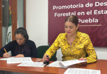 CONAFOR combatirá plagas forestales en Zacatlán