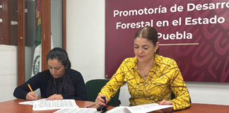 CONAFOR combatirá plagas forestales en Zacatlán