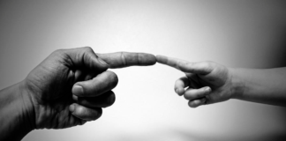 Proponen en el Congreso sancionar cohabitación forzada