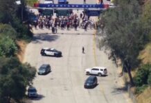 Dodgers impiden acceso de agentes migratorios a su estadio