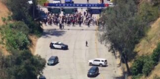 Dodgers impiden acceso de agentes migratorios a su estadio