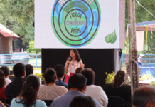 Más de mil 500 personas participan en el Ecofest de Cuautlancingo