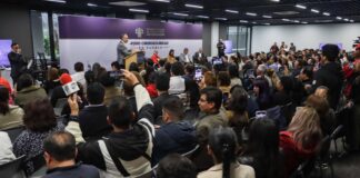 Expertos critican ambigüedad de Ley de Ciberasedio, autoridades la defienden