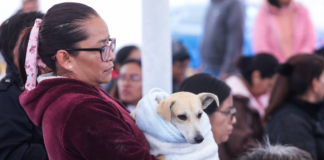 Realizan Jornada de Esterilización en San Antonio Cacalotepec
