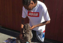 Muere Juelz, el bulldog francés que acompañó a Snoop Dogg