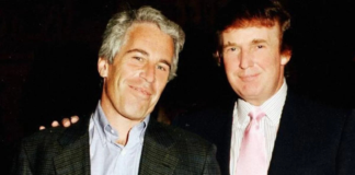 Musk insinúa que Trump está en los archivos Epstein