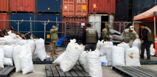 Decomisan cargamento de aletas de tiburón con destino a China