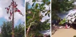 Se rompe mástil ceremonial y voladores de Papantla caen 10 metros
