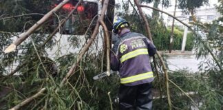 Fuerte lluvia causa inundaciones y caída de árboles en Puebla