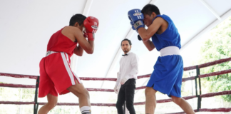 Concluye con éxito el Torneo de Barrios de Box