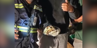 Rescatan a tortuga tras caer en camión de basura en SLP