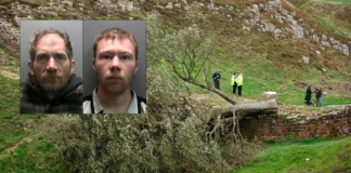 Condenan a dos hombres por tala de icónico árbol en Inglaterra