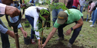 Atlixco planta más de 100 árboles en el puente Cantarranas