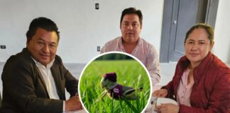 Fuerza Obradorista rechaza posible “chapulineo” de militantes