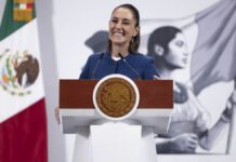 “No encubriremos a nadie”: Sheinbaum sobre caso Bermúdez Requena