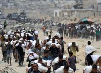 ONG israelíes califican como genocidio lo sucedido en Gaza