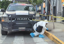 Fiscalía de Puebla realiza primer levantamiento de cuerpo canino