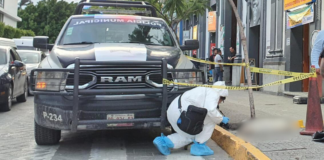 Fiscalía de Puebla realiza primer levantamiento de cuerpo canino