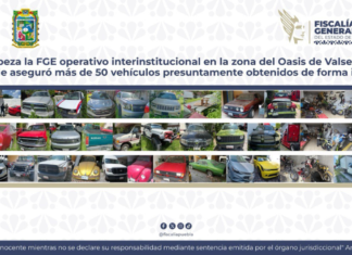 FGE asegura más de 50 vehículos robados durante operativo