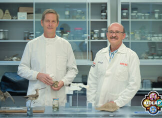 Biología UDLAP logra reacreditación avanzada internacional, única en México